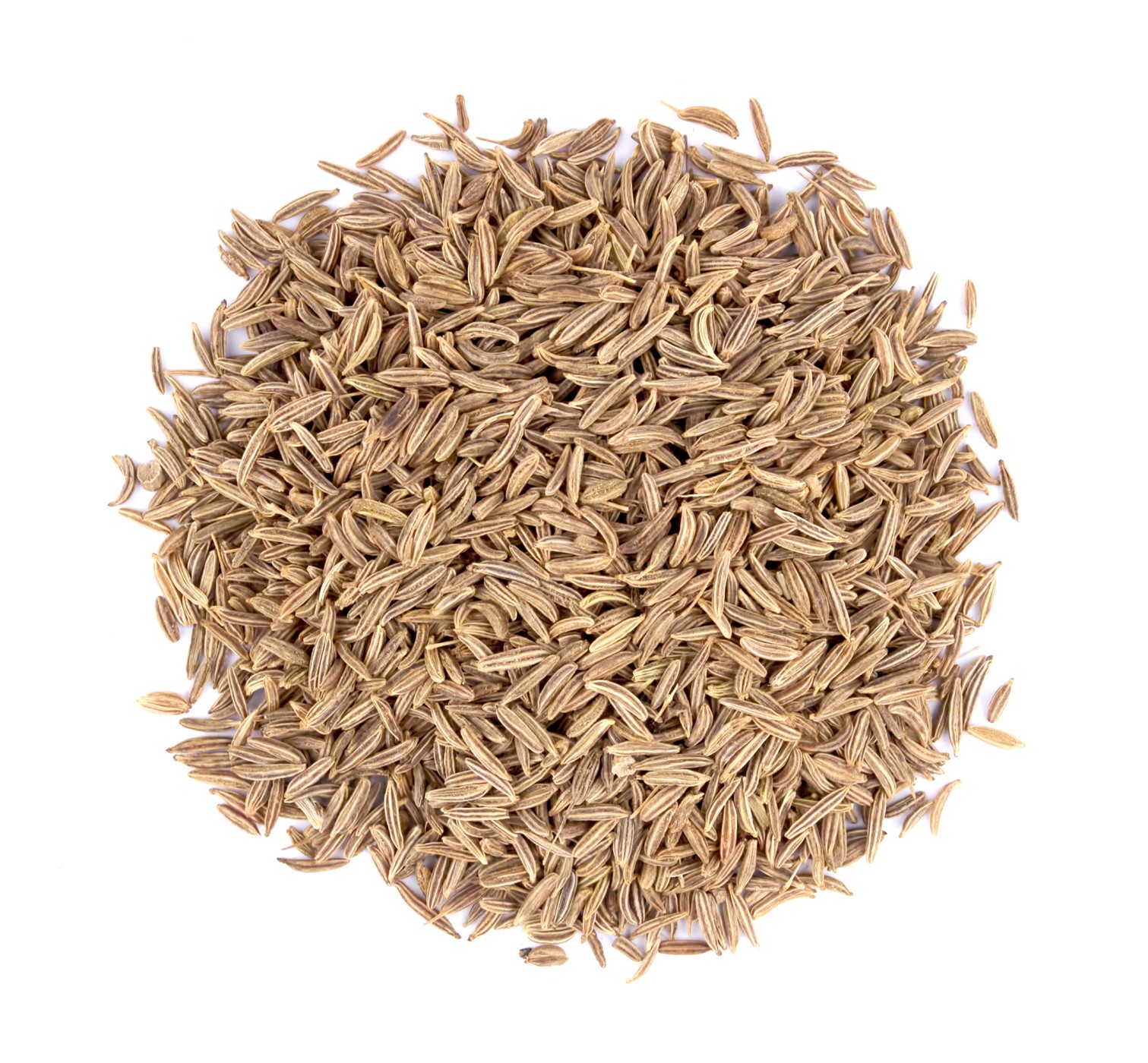 Model with face mask