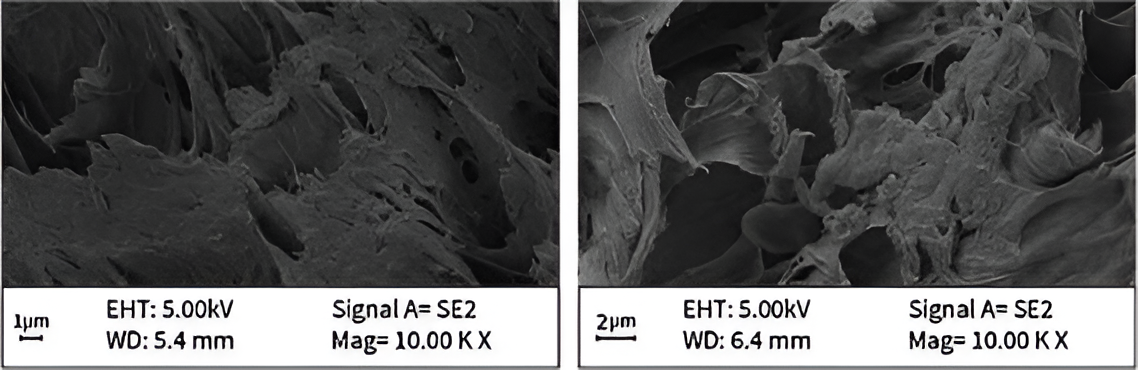 PVA/Gelatin Hydrogels: Advanced Materials for Wound Healing