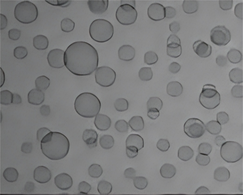 Glycerosomes: Enhancing Skin Hydration and Active Delivery