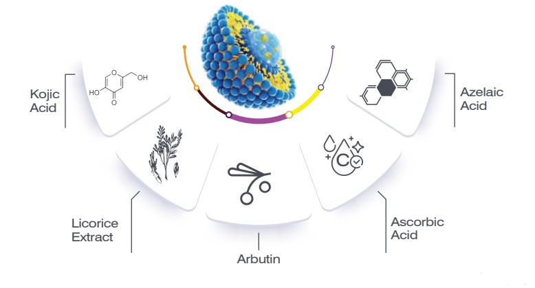Mechanism illustrative image