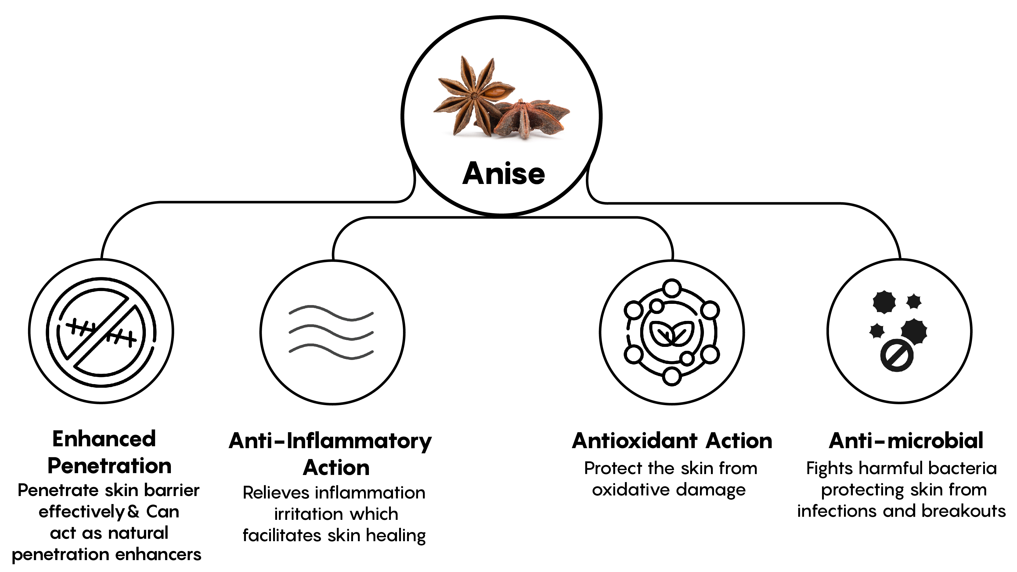 Mechanism illustrative image