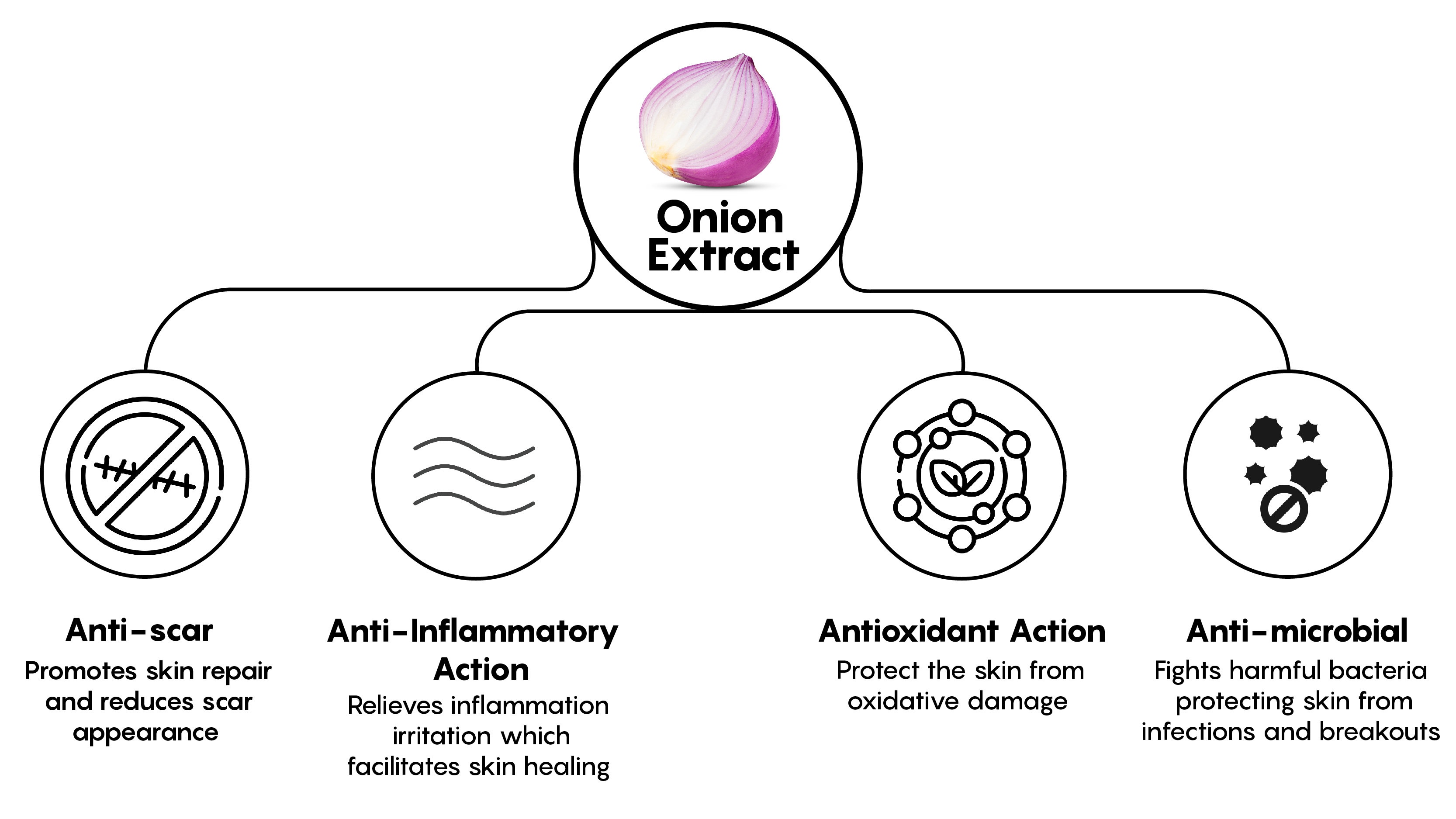 Mechanism illustrative image