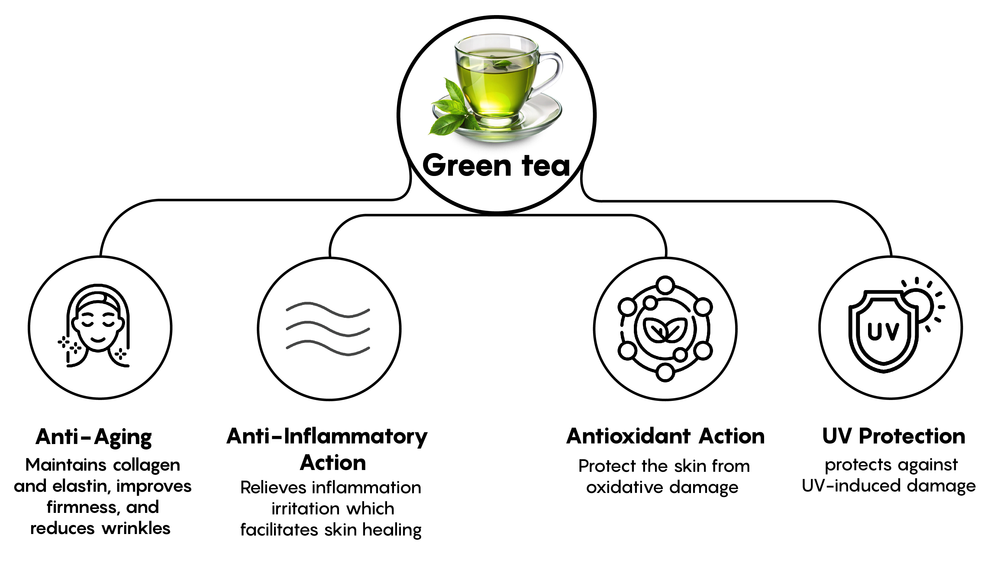 Mechanism illustrative image