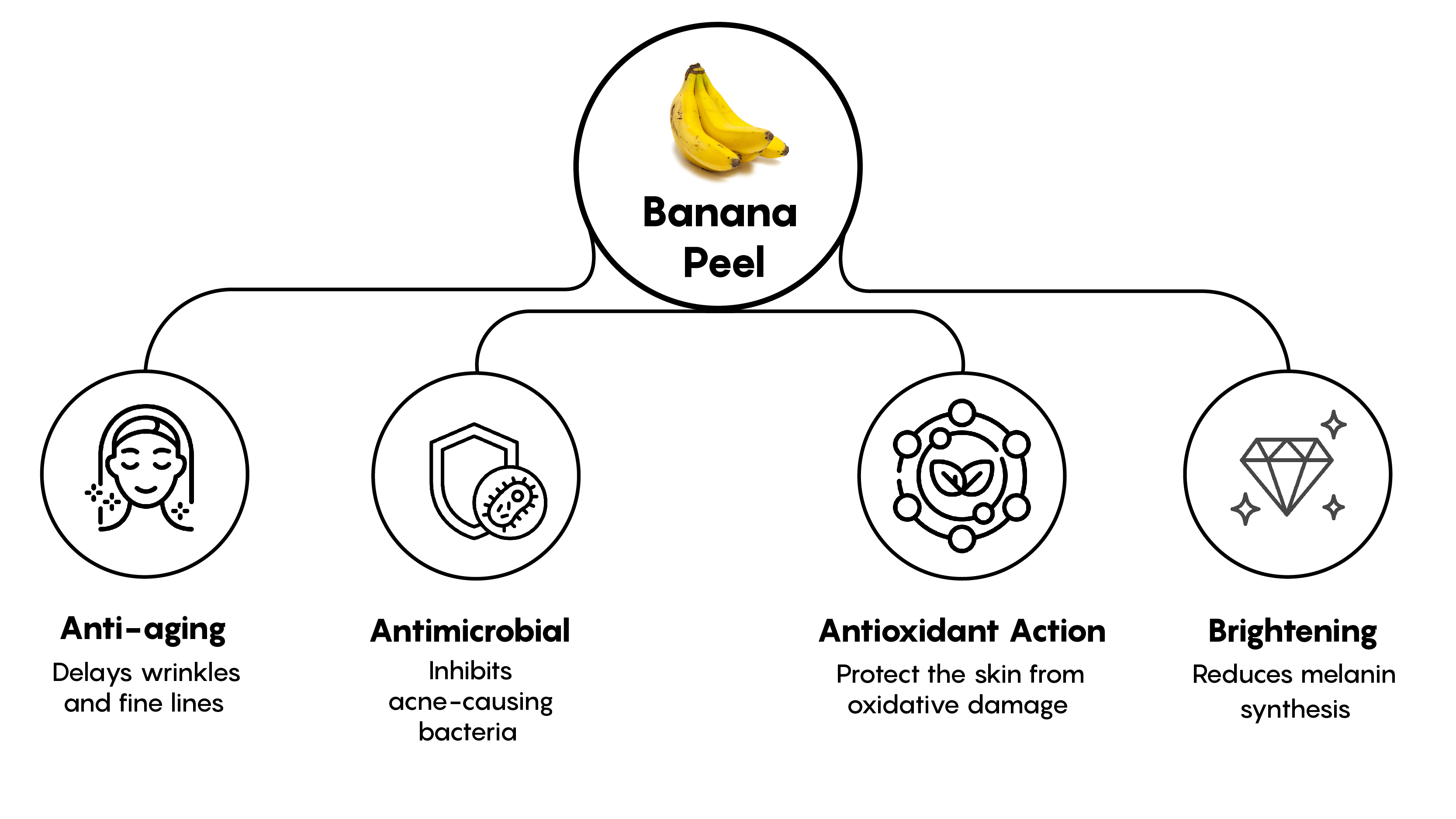 Mechanism illustrative image