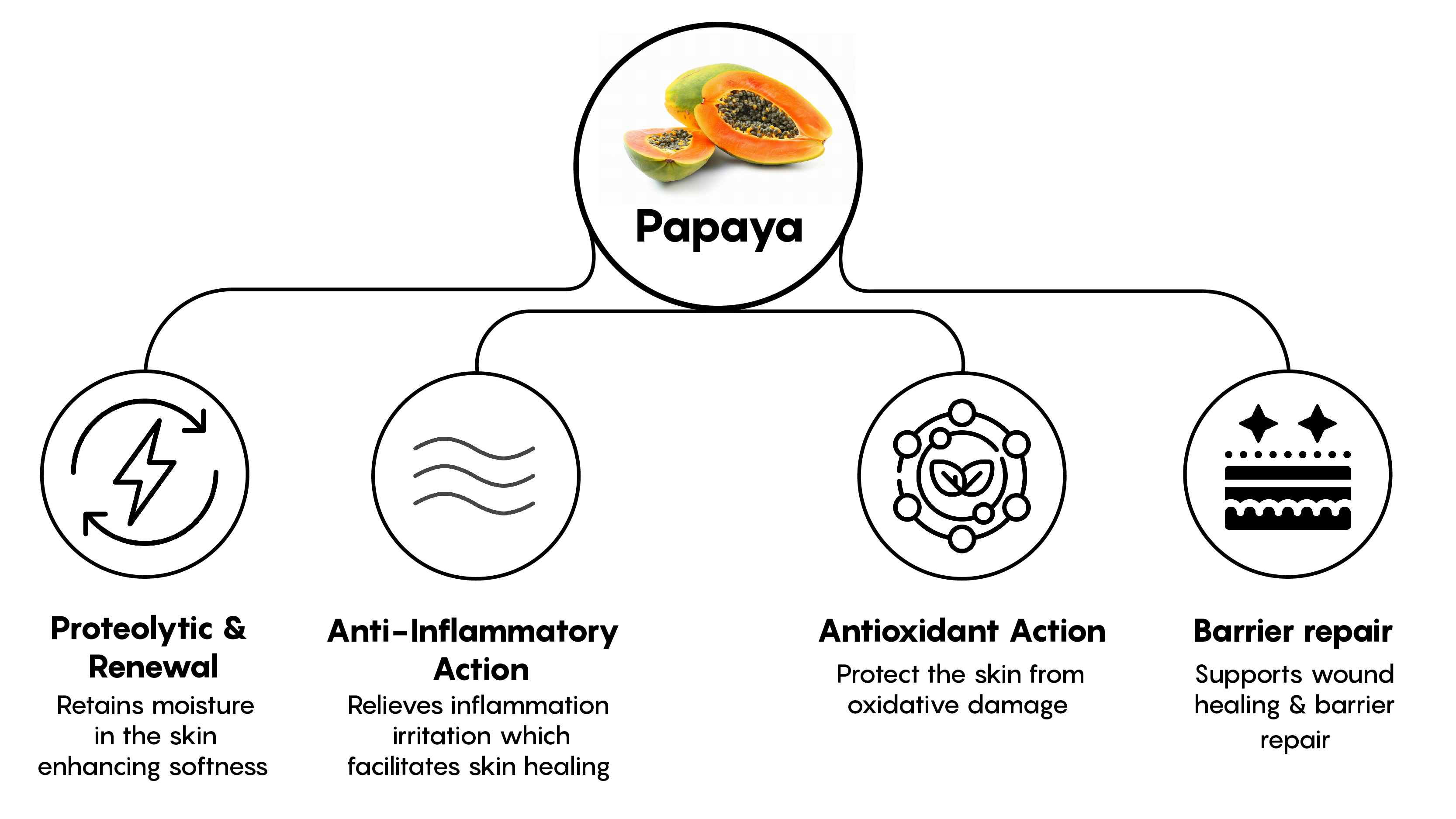 Mechanism illustrative image