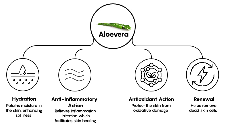 Mechanism illustrative image