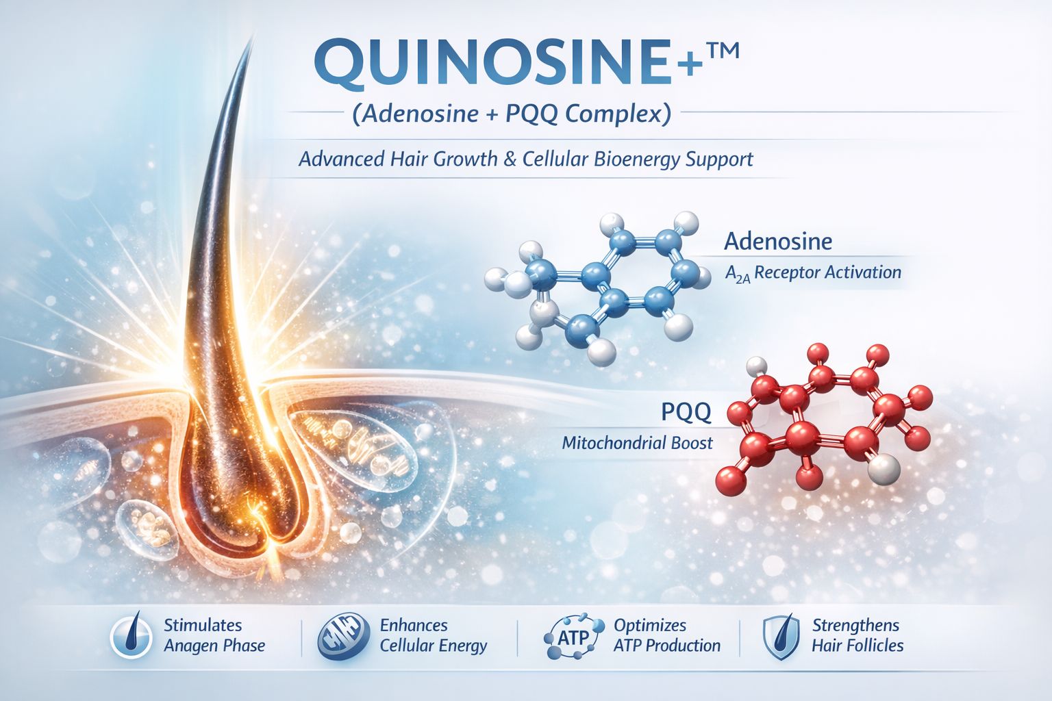 Mechanism illustrative image