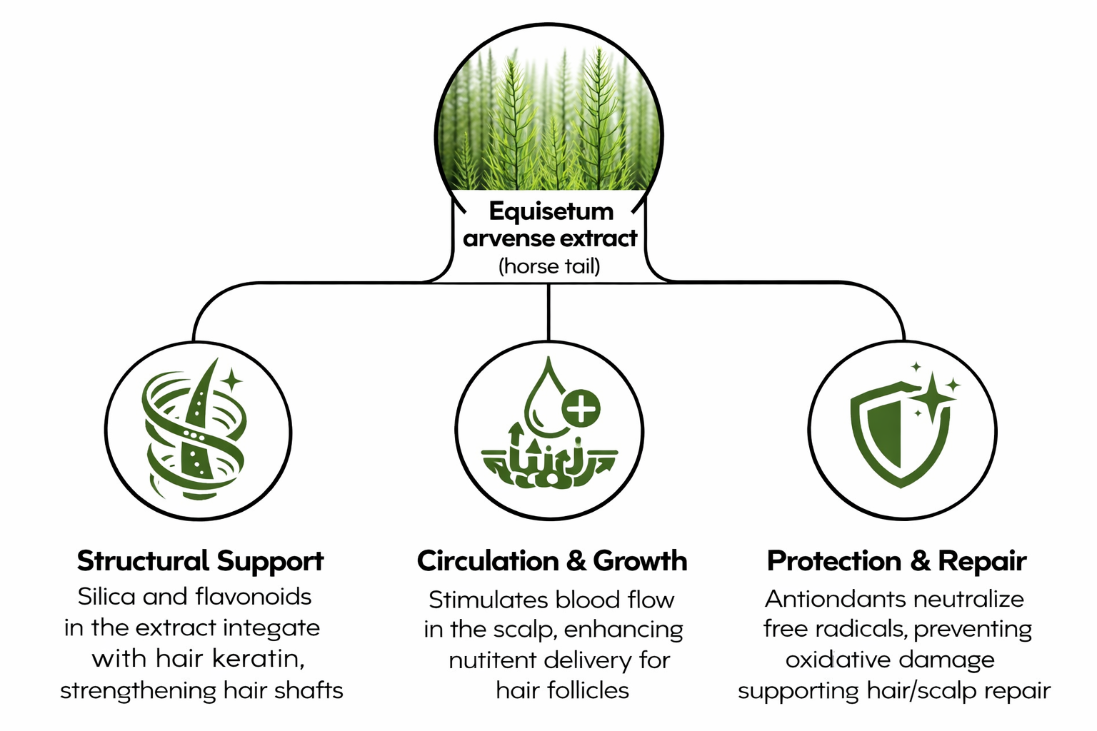 Mechanism illustrative image
