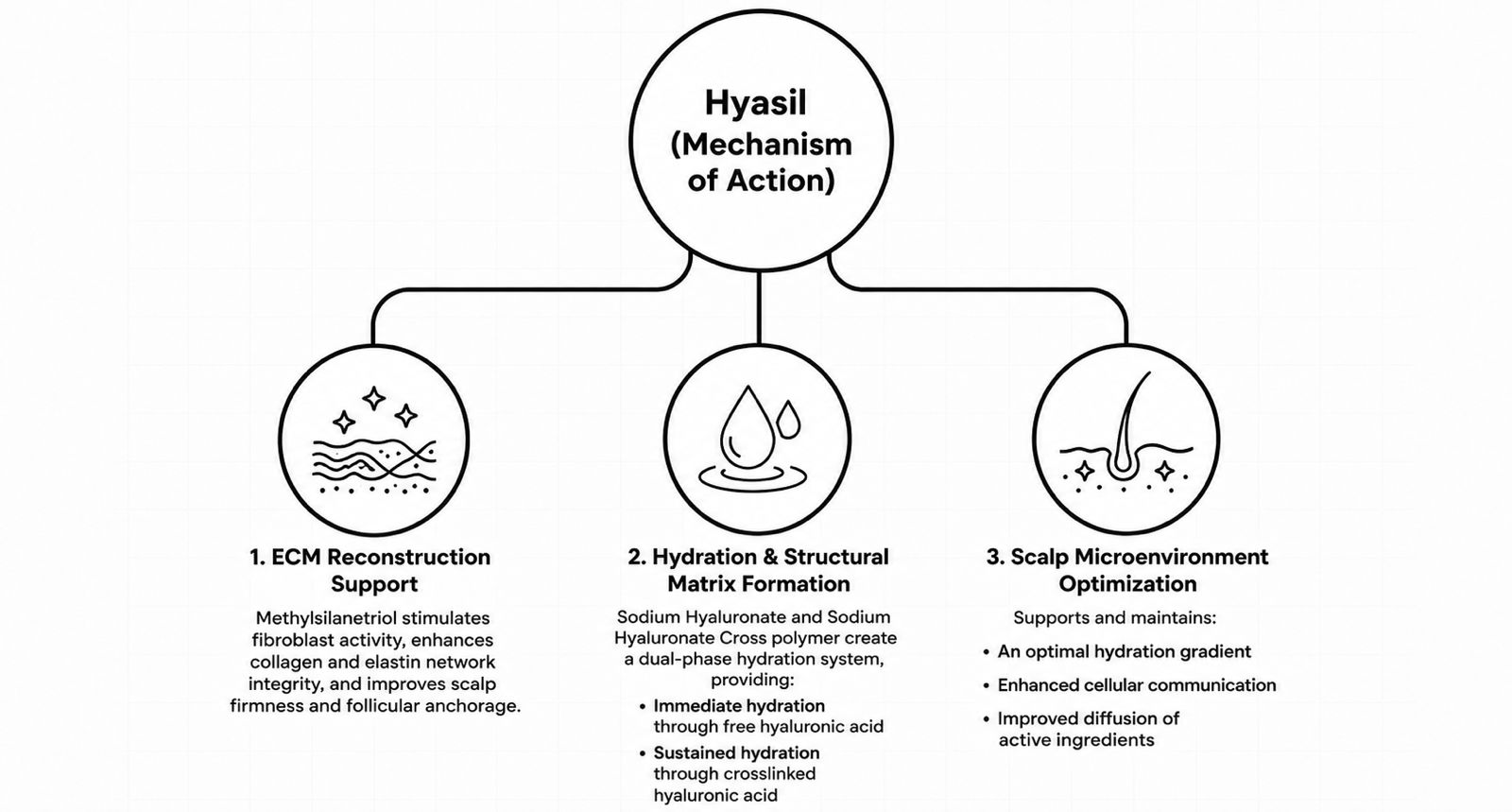 HYASIL ™ mechanism of action