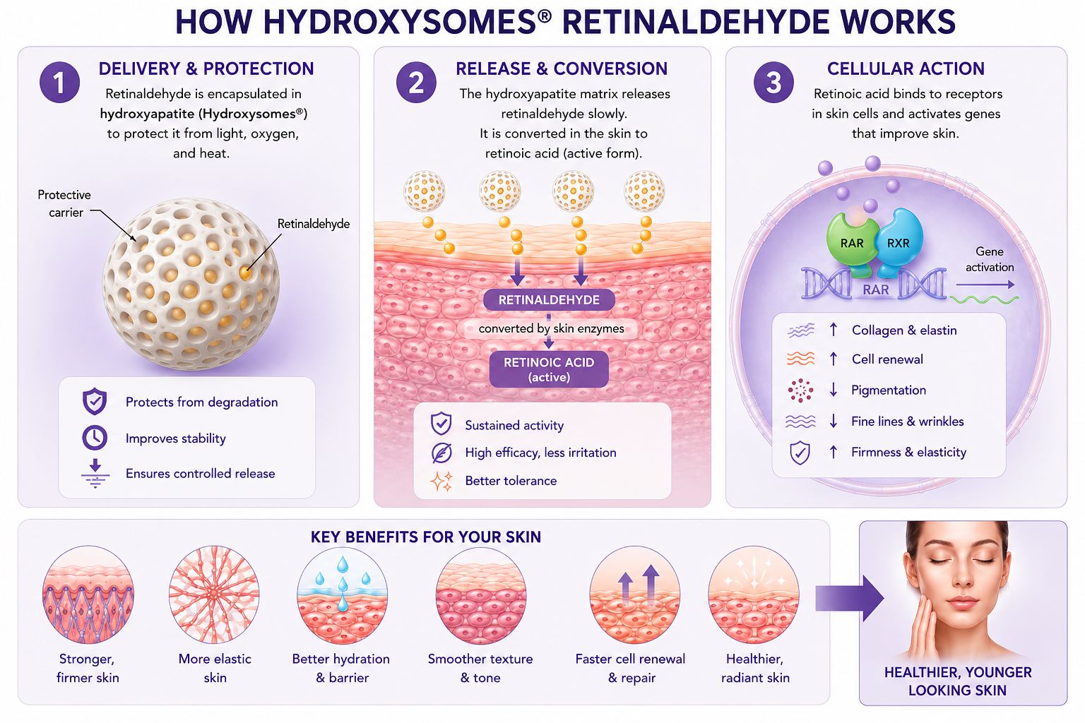 Retinaxyl ™ - Retinal supplier, Retinaldehyde supplier, Retinal active ingredient, Retinal cosmetic ingredient mechanism of action