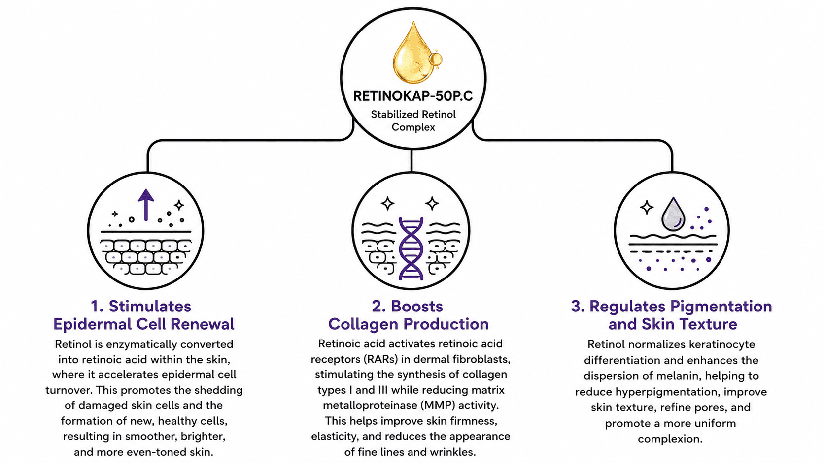 RetinoKap 50P.C - retinol supplier, retinol encapsulated row material, retinol active ingredients mechanism of action