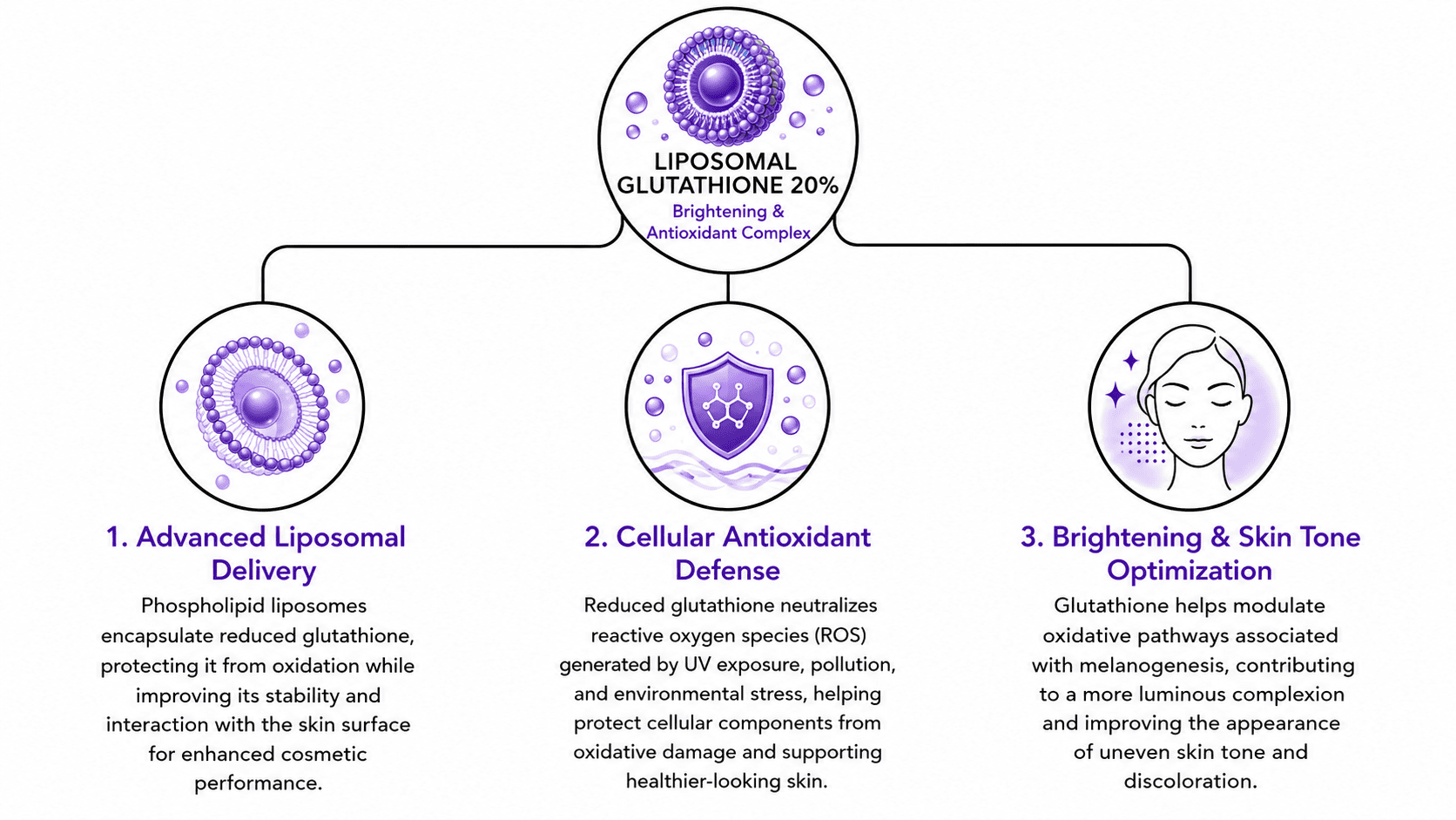 GLUTASOME® -20P - liposomal glutathione powder, liposomal glutathione supplier mechanism of action