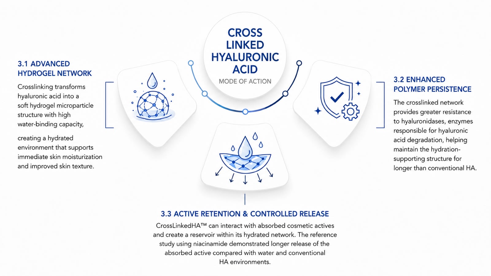 CrossLinked HA ™ - Cross linked hyaluronic acid supplier, crosslinked hyaluronic acid raw material mechanism of action