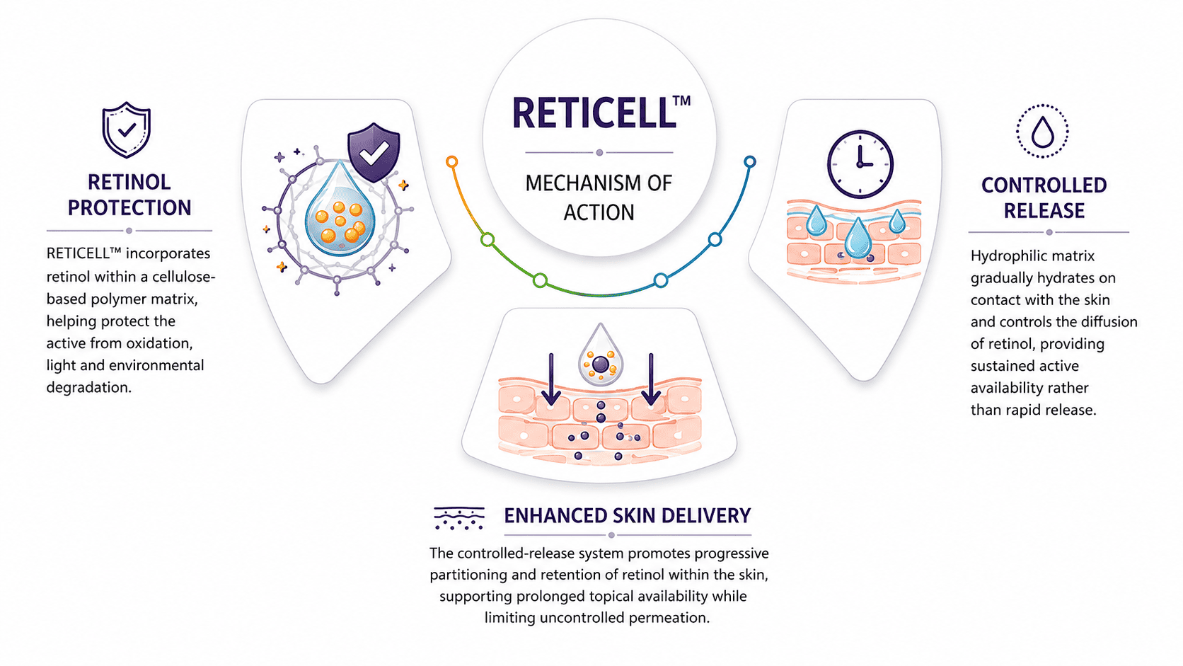 RETICELL ™ - RETICELL™, RETICELL, RETICELL retinol, RETICELL retinol delivery mechanism of action