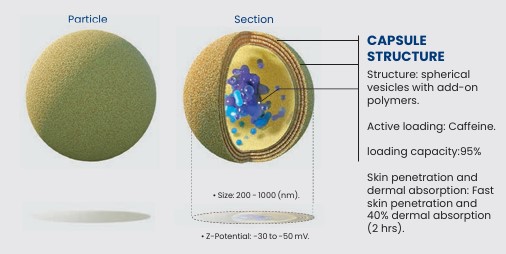 Stressed Cell Visualization