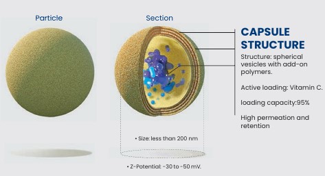 Stressed Cell Visualization