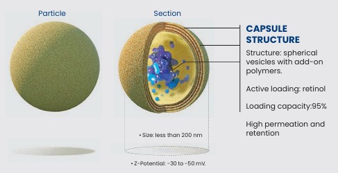 Stressed Cell Visualization