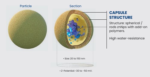 Stressed Cell Visualization
