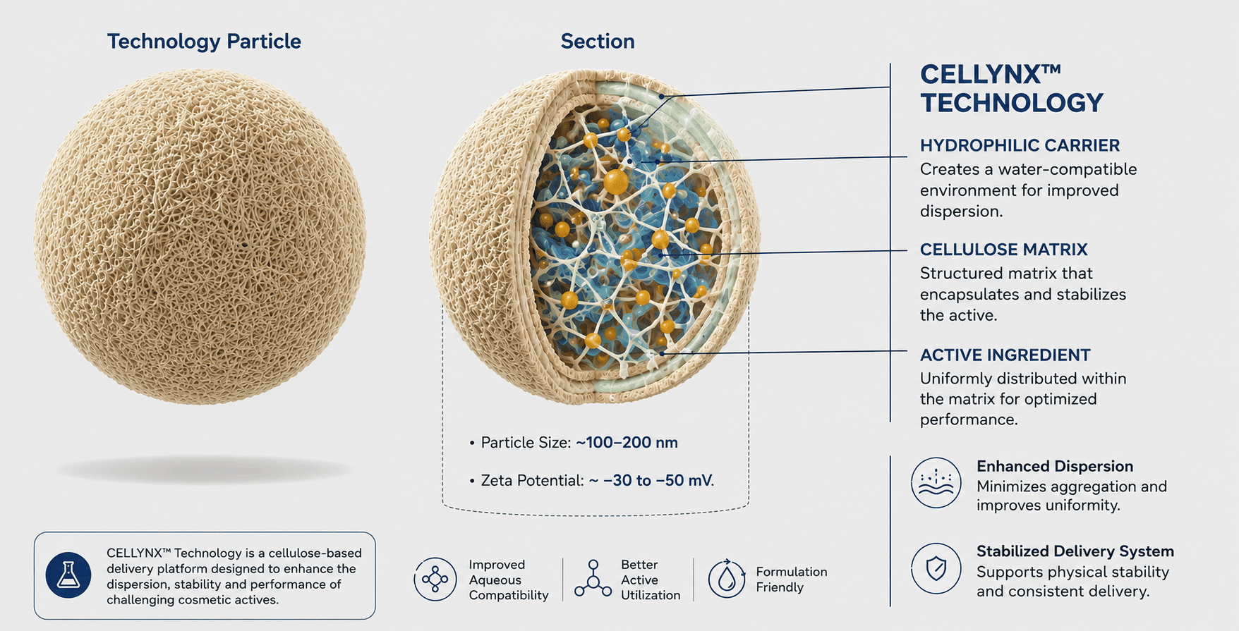 Stressed Cell Visualization